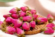 干月季花茶的制作方法 喝月季花茶的好处-茗扬网