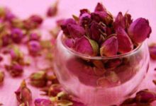 月季花茶的功效与作用 喝月季花茶的好处-茗扬网