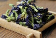 蓝蝴蝶花茶如何泡 喝蓝蝴蝶花茶好处与功效-茗扬网