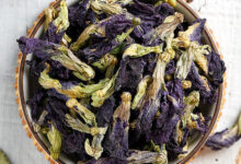 喝蓝蝴蝶花茶应该注意什么 蓝蝴蝶花茶有哪些禁忌-茗扬网