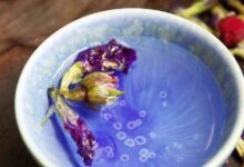蓝蝴蝶花茶的搭配方法窍门-茗扬网