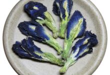 蓝蝴蝶花茶的搭配方法 蓝蝴蝶花茶什么人不能喝-茗扬网