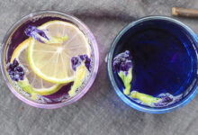 如何冲泡蓝蝴蝶花茶 冲泡蓝蝴蝶花茶的技巧-茗扬网