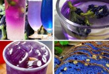 蓝蝴蝶花茶禁忌 蓝蝴蝶花茶的副作用-茗扬网