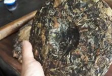 蓝蝴蝶花茶的泡法-茗扬网