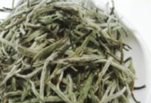 蓝蝴蝶花茶怎么泡？-茗扬网