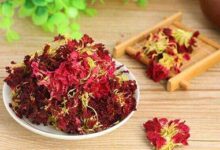 康乃馨花茶的功效与作用 康乃馨花茶的禁忌-茗扬网