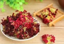 康乃馨花茶的功效禁忌 康乃馨花茶可以每天喝吗-茗扬网