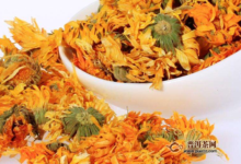 金盏花茶的搭配，喝金盏花茶的好处-茗扬网