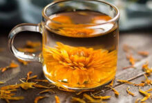 金盏花茶的功效与作用及药用价值-茗扬网