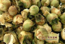 雪莲花茶禁忌-茗扬网