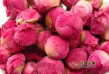 芍药花茶的制作方法-茗扬网