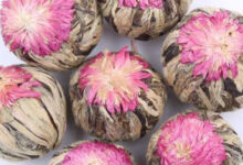 芙蓉花茶适合什么人喝_芙蓉花茶的禁忌-茗扬网