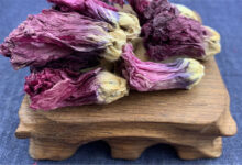 芙蓉花茶如何选购-茗扬网