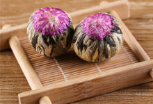 芙蓉花茶的相关知识解读-茗扬网