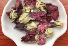 可降血压的花茶芙蓉花茶怎么做呢？-茗扬网