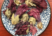 芙蓉花茶的功效：芙蓉花茶可降血压-茗扬网