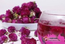 千日红花茶禁忌人群-茗扬网