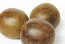 罗汉果泡水喝的坏处有什么-茗扬网