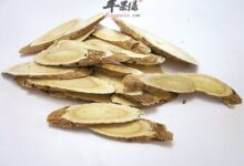 黄芪泡水喝要注意什么-茗扬网