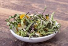 蒲公英泡水喝有什么作用和功效-茗扬网