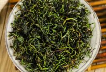 女性喝蒲公英茶的好处-茗扬网