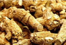 西洋参泡水喝的禁忌及注意事项有哪些-茗扬网