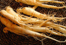 西洋参泡水喝的功效是什么呢-茗扬网