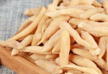 麦冬泡水喝的五大禁忌-茗扬网