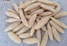 麦冬泡水喝有哪些注意事项-茗扬网