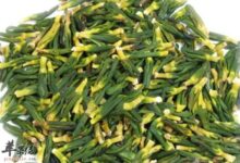 莲子心泡水的作用以及具体步骤-茗扬网