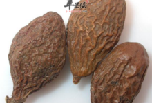 为什么胖大海泡水不能长期喝-茗扬网