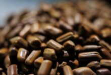 决明子泡水喝能减肥吗-茗扬网