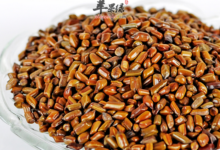 决明子泡茶可以降火吗 怎么喝-茗扬网