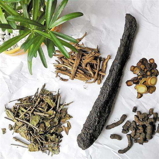 肉苁蓉泡什么茶 肉苁蓉茶的正确泡法