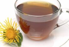 肉苁蓉茶的功效与作用及副作用-茗扬网