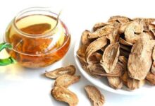 什么人不能饮牛蒡茶呢-茗扬网