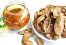 人参牛蒡茶的功效和作用是什么-茗扬网