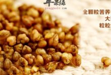 苦荞茶怎么喝，喝苦荞茶有什么好处-茗扬网