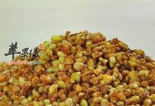 苦荞茶能吃吗，苦荞茶能减肥吗-茗扬网