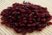 五味子怎么泡茶喝 七种搭配保健又强身-茗扬网