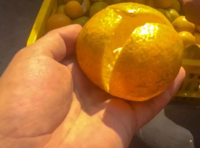 同样都是柑橘皮，为啥新会陈皮就这么金贵？