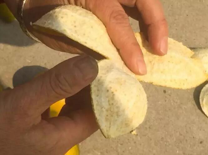 同样都是柑橘皮，为啥新会陈皮就这么金贵？