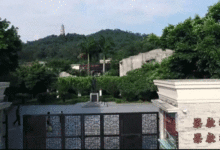 新会产的陈皮为什么就是好-茗扬网