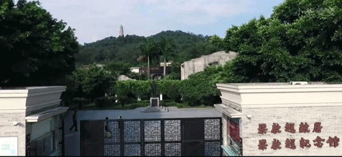新会产的陈皮为什么就是好