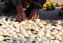 新会陈皮，任岁月陈化掉世事沧桑-茗扬网