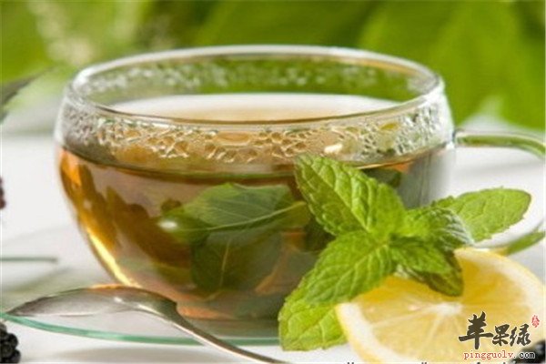 陈皮和荷叶泡茶 调理肠胃促进代谢