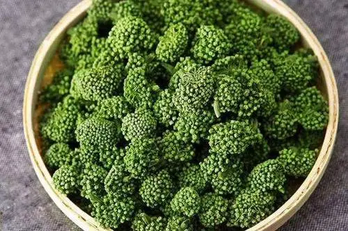三七花泡水喝的禁忌