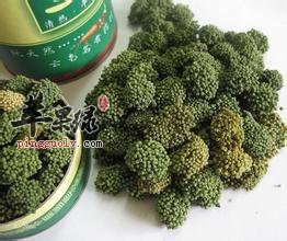 三七花泡水喝的禁忌有哪些 你知道吗