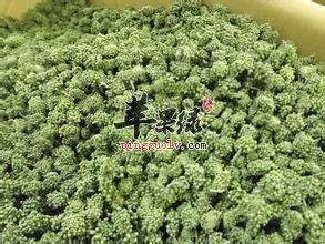 三七花泡水喝的禁忌有哪些 你知道吗